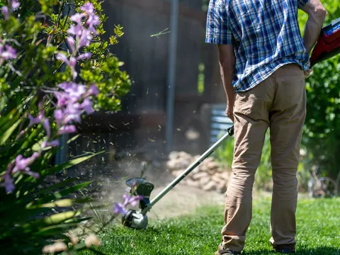 Trimming the edge of a lawn with a string trimmer